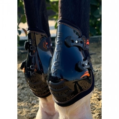 TRIUMPH BOOTS