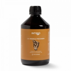 MUSCLE RECOVERY