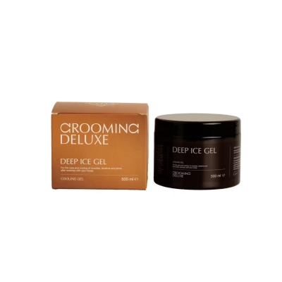 RECOVERING ICE GEL 