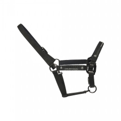 CT ADJUSTABLE NYLON HALTER 