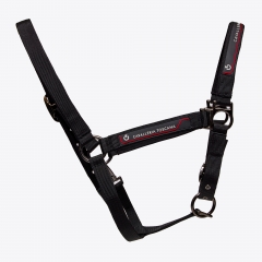 CT HALTER AND LEAD ROPE