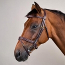  PLAINTED FLASH NOSEBAND BRIDLE 