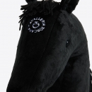  CT HOBBY HORSE 